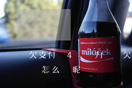 欠支付寶4萬無力償還 欠支付寶4萬無力償還怎么辦呢