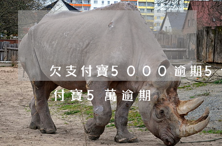欠支付寶5000逾期5個(gè)月-支付寶5萬逾期