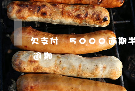 欠支付寶5000逾期半年 支付寶欠一萬多逾期