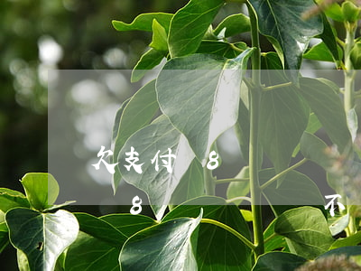 欠支付寶8萬沒錢還會不會被起訴-欠支付寶8萬沒錢還會不會被起訴呢