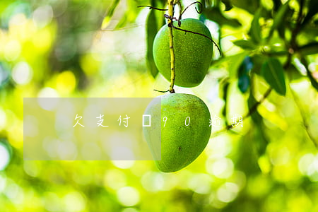 欠支付寶90逾期