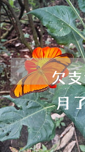 欠支付寶七千多已經(jīng)逾期九多月了-欠支付寶七千多已經(jīng)逾期九多月了怎么辦