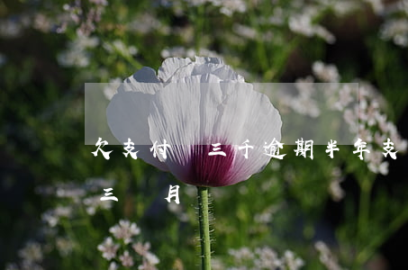 欠支付寶三千逾期半年(支付寶欠一千多逾期三個月)
