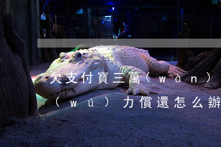 欠支付寶三萬(wàn)暫時(shí)無(wú)力償還怎么辦-欠支付寶三萬(wàn)暫時(shí)無(wú)力償還怎么辦呢