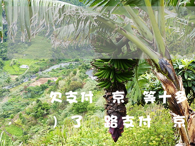 欠支付寶京東等十多萬讓家都走進(jìn)了絕路（支付寶京東全部逾期2萬多）