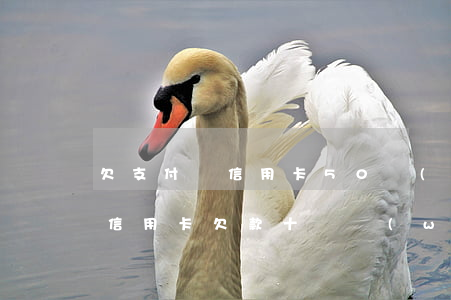 欠支付寶信用卡50萬(wàn)-支付寶信用卡欠款十幾萬(wàn),暫時(shí)還不起