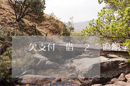 欠支付寶借唄2萬逾期了5年