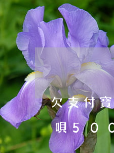 欠支付寶借唄5000逾期一年(欠支付寶借唄5000逾期一年)