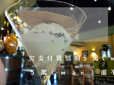 欠支付寶借唄5萬(wàn)(支付寶借唄欠5萬(wàn)還不上)