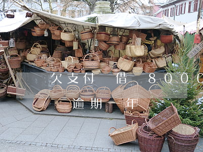 欠支付寶借唄8000半年(支付寶欠借唄8萬逾期一年)