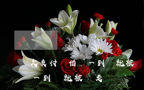 欠支付寶借唄一到帳就被劃走(欠支付寶借唄一到帳就被劃走)