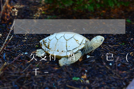 欠支付寶借唄一萬已經(jīng)還了三千-