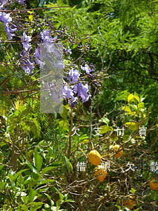 欠支付寶借唄會(huì)不會(huì)(借唄欠款可以不還嗎)