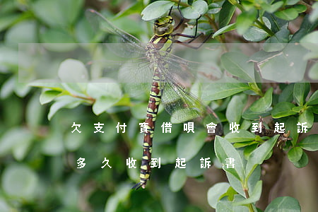欠支付寶借唄會收到起訴書嗎(借唄被起訴了多久收到起訴書)