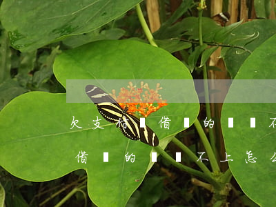 欠支付寶借唄的錢還不上怎么辦-欠支付寶借唄的錢還不上怎么辦已經(jīng)15個月了