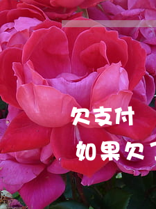 欠支付寶借唄花唄幾百塊無(wú)力償還(如果欠了支付寶的借唄花唄的錢,確實(shí)無(wú)力償還該怎么辦?)