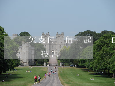 欠支付寶借唄起訴費由誰出(支付寶借唄欠款會被告嗎)