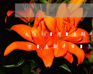 欠支付寶借唄逾期半年會怎么樣-欠支付寶借唄逾期半年會怎么樣嗎