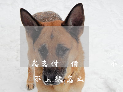 欠支付寶借唄錢還不上怎么辦(支付寶借唄還不上款怎么辦)