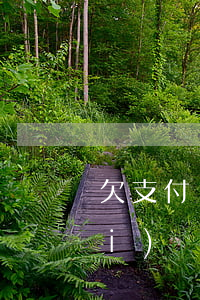欠支付寶十萬(wàn)逾期2年沒(méi)還