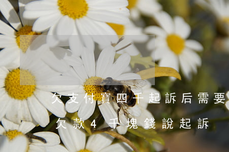 欠支付寶四千起訴后需要哪些費用-支付寶欠款4千塊錢說起訴