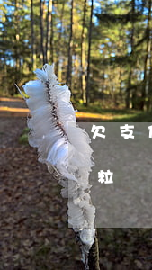 欠支付寶微粒貸40萬會坐牢嗎(欠支付寶微粒貸40萬會坐牢嗎)