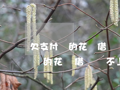 欠支付寶的花唄借唄還不上怎么辦-欠支付寶的花唄借唄還不上怎么辦呢
