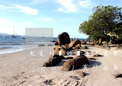 欠支付寶的錢是不是要起訴我 欠支付寶錢會(huì)有什么后果?