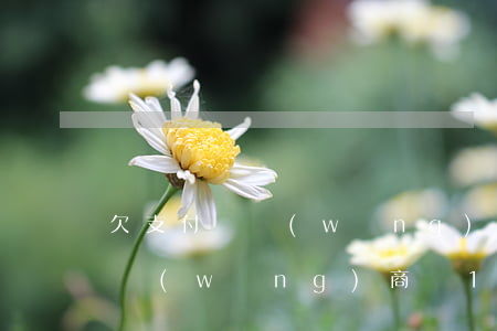 欠支付寶網(wǎng)商貸10萬半年(欠網(wǎng)商貸10萬兩年了)