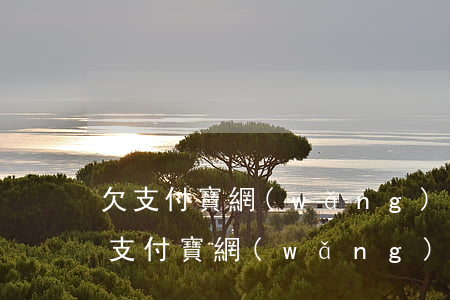 欠支付寶網(wǎng)商貸1萬2怎么辦(支付寶網(wǎng)商貸額度沒了有欠款)