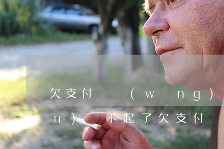 欠支付寶網(wǎng)商貸28萬(wàn)還不起了(欠支付寶網(wǎng)商貸20萬(wàn)沒能力嘗還應(yīng)該怎么做)