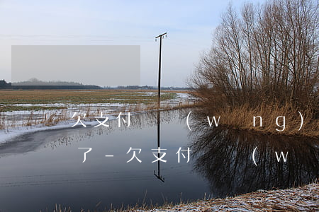 欠支付寶網(wǎng)商貸28萬還不起了-欠支付寶網(wǎng)商貸28萬還不起了怎么辦