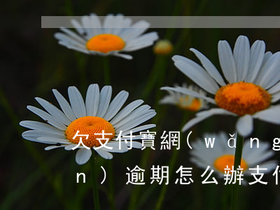 欠支付寶網(wǎng)商貸30萬(wàn)逾期怎么辦(支付寶網(wǎng)商貸逾期十天)
