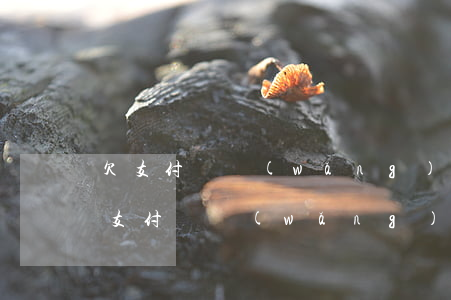 欠支付寶網(wǎng)商貸4千多7個月(支付寶網(wǎng)商貸每月還多少錢)