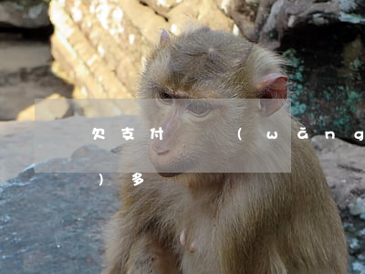 欠支付寶網(wǎng)商貸5萬(wàn)多