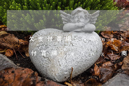 欠支付寶網(wǎng)商貸9萬沒還(欠支付寶網(wǎng)商貸20萬沒能力嘗還應(yīng)該怎么做)