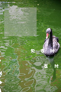 欠支付寶網(wǎng)商貸低于1萬沒錢還(支付寶網(wǎng)商貸沒有錢還怎么辦)