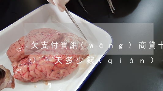 欠支付寶網(wǎng)商貸十萬(wàn)一天多少錢(qián)-欠支付寶網(wǎng)商貸十萬(wàn)一天多少錢(qián)啊
