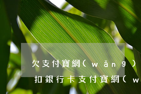 欠支付寶網(wǎng)商貸會(huì)扣銀行卡(支付寶網(wǎng)商貸可以自動(dòng)在銀行卡扣還款嗎?)