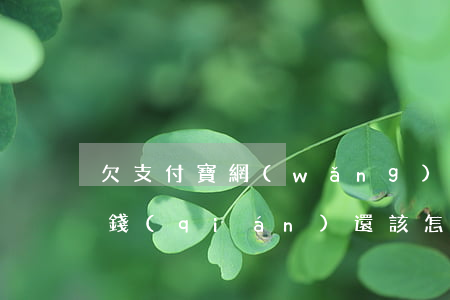 欠支付寶網(wǎng)商貸沒(méi)錢(qián)還該怎么辦-欠支付寶網(wǎng)商貸沒(méi)錢(qián)還該怎么辦呢