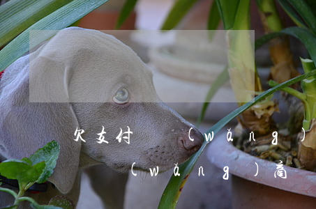 欠支付寶網(wǎng)商貸的后果(欠支付寶網(wǎng)商貸的后果)