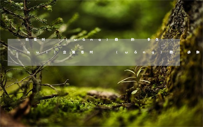 欠支付寶網(wǎng)商貸的錢多久會(huì)立案(支付寶網(wǎng)商貸逾期會(huì)被起訴立案到本地市公安局嗎)