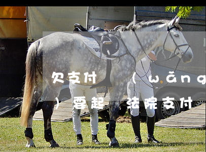 欠支付寶網(wǎng)商貸說(shuō)要起訴法院(支付寶網(wǎng)商貸欠款逾期3個(gè)多月說(shuō)起訴)