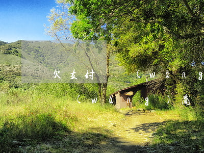 欠支付寶網(wǎng)商銀行逾期(支付寶網(wǎng)商銀行貸款逾期多久會被起訴)