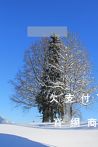 欠支付寶網商貸實在沒錢還怎么辦-欠支付寶網商貸實在沒錢還怎么辦呢