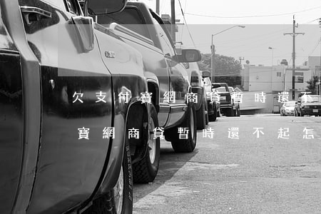 欠支付寶網商貸暫時還不起怎么辦-欠支付寶網商貸暫時還不起怎么辦呢