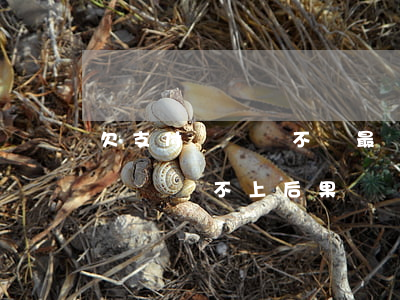欠支付寶網貸不還最壞結果是什么-支付寶網貸還不上后果
