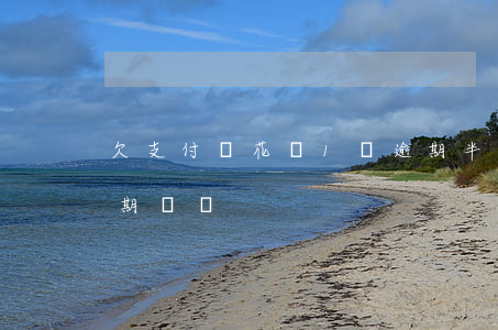欠支付寶花唄1萬逾期半年了(支付寶花唄逾期兩萬)