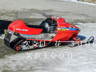 欠支付寶花唄3000沒有錢還(支付寶花唄欠款3000)