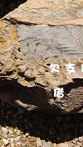 欠支付寶花唄以及借唄會不會坐牢(欠支付寶借唄錢不還會有什么后果)